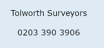 Tolworth Surveyors Logo